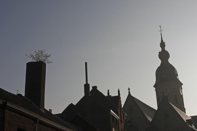 Cjp_2015_03_24_072528.jpg