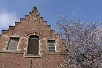 Cjp_2015_03_23_133512.jpg