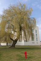 Cjp_2015_03_23_135628.jpg