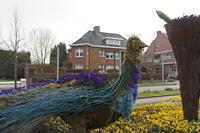 Cjp_2015_03_23_153100.jpg