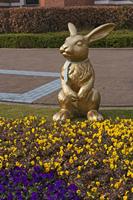 Cjp_2015_03_23_153246.jpg