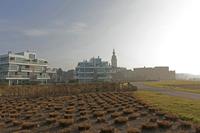 Cjp_2015_03_24_072132.jpg