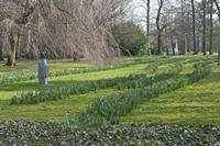 Cjp_2015_03_24_100608.jpg