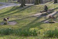 Cjp_2015_03_24_100718.jpg