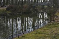 Cjp_2015_03_24_100820.jpg