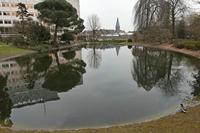 Cjp_2015_03_24_140238.jpg