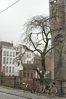 Cjp_2015_03_24_143718.jpg