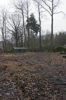 Cjp_2015_03_25_094255.jpg