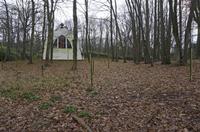 Cjp_2015_03_25_094336.jpg