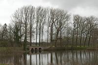 Cjp_2015_03_25_125632.jpg
