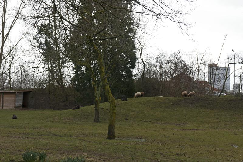 Cjp_2015_03_25_141444.jpg