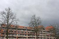 Cjp_2015_03_25_140502.jpg