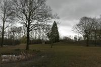 Cjp_2015_03_25_141420.jpg