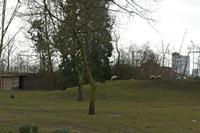Cjp_2015_03_25_141444.jpg