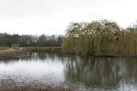 Cjp_2015_03_25_141852_2.jpg