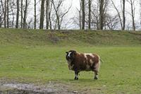 Cjp_2015_03_25_142932.jpg