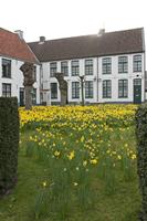 Cjp_2015_03_26_075650.jpg