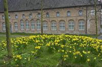 Cjp_2015_03_26_140151.jpg