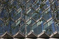 Cjp_2015_04_18_065120.jpg