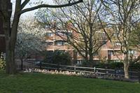 Cjp_2015_04_18_071216.jpg