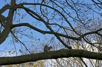 Cjp_2015_04_18_071554.jpg