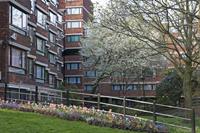 Cjp_2015_04_18_071650.jpg