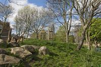 Cjp_2015_04_18_080714.jpg