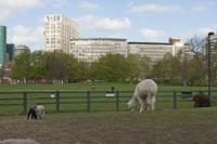 Cjp_2015_04_18_081540.jpg