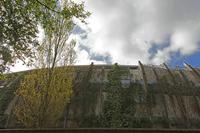 Cjp_2015_04_18_082408.jpg