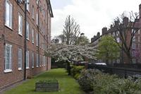 Cjp_2015_04_18_082846.jpg
