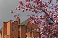 Cjp_2015_04_18_083830.jpg