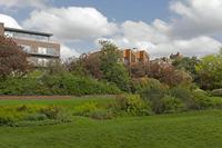 Cjp_2015_04_18_085530.jpg