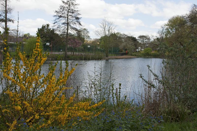Cjp_2015_04_18_110616.jpg