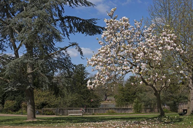 Cjp_2015_04_18_121658.jpg