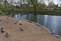 Cjp_2015_04_18_110414.jpg