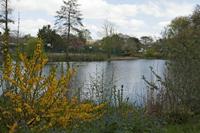 Cjp_2015_04_18_110616.jpg