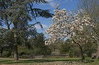 Cjp_2015_04_18_121658.jpg