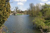Cjp_2015_04_18_122306.jpg