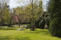Cjp_2015_04_18_122342.jpg