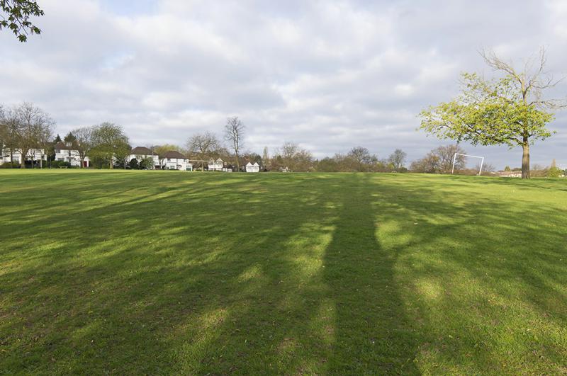 Cjp_2015_04_19_063818.jpg