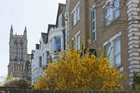 Cjp_2015_04_18_132414.jpg