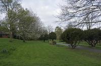 Cjp_2015_04_19_061806.jpg