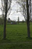 Cjp_2015_04_19_064740.jpg