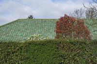 Cjp_2015_04_19_065630.jpg