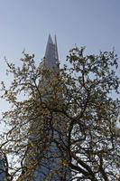 Cjp_2015_04_20_065506.jpg