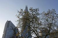 Cjp_2015_04_20_065514.jpg