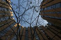Cjp_2015_04_20_071844.jpg