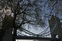 Cjp_2015_04_20_083000.jpg