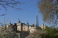 Cjp_2015_04_20_084152.jpg