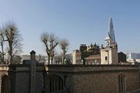 Cjp_2015_04_20_093220.jpg